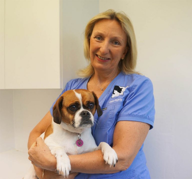 Elaine Fogarty - Senior Administrator