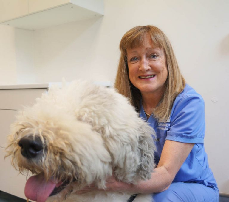 Gabrielle Regan - Veterinary Nurse