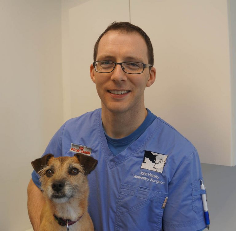 Sandymount Vets Ltd Sandymount, Dublin