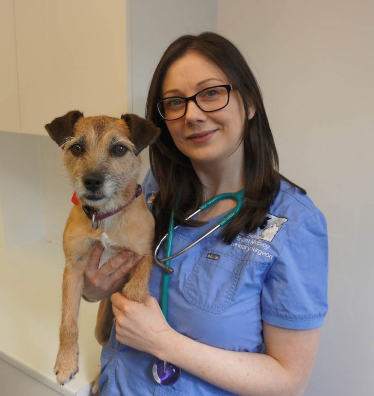 Miriam McEvoy - Veterinary Surgeon