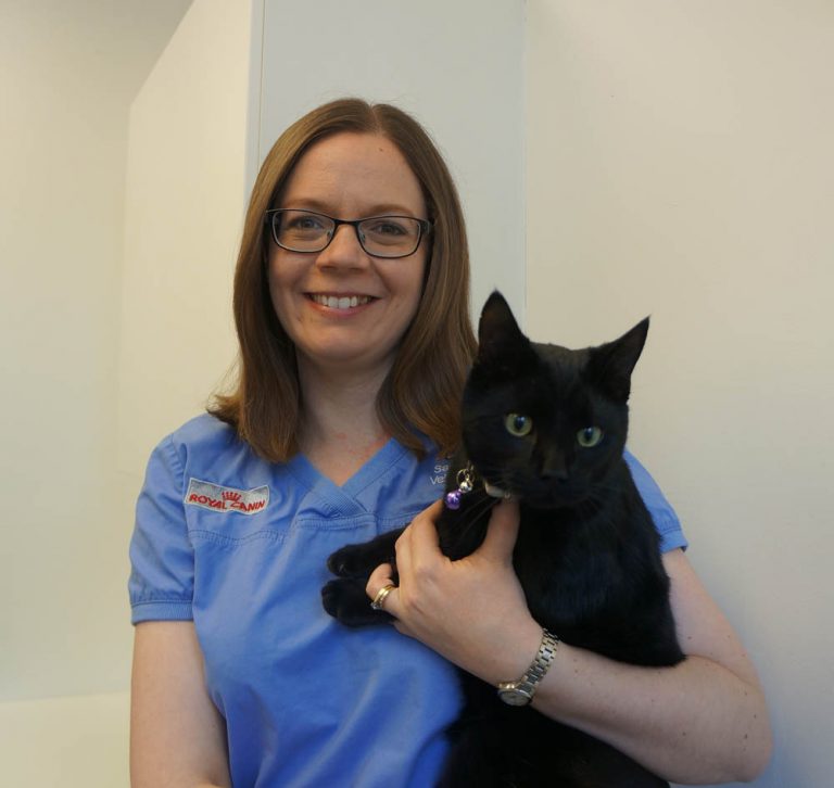 Sarah Jane Lynch, Veterinary Surgeon